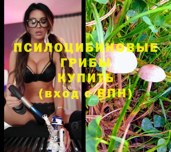 дурь Алзамай