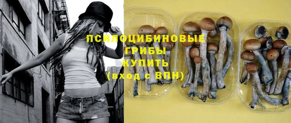 дурь Алзамай