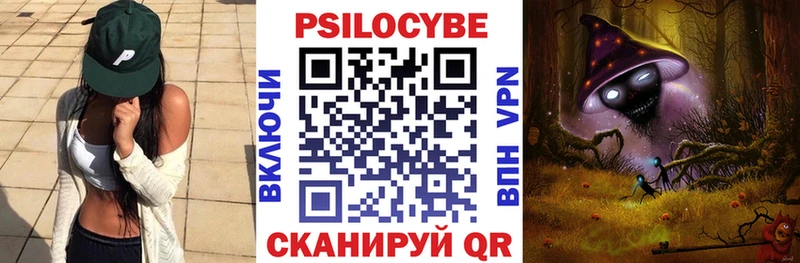 хочу   Волгодонск  Галлюциногенные грибы Psilocybine cubensis 